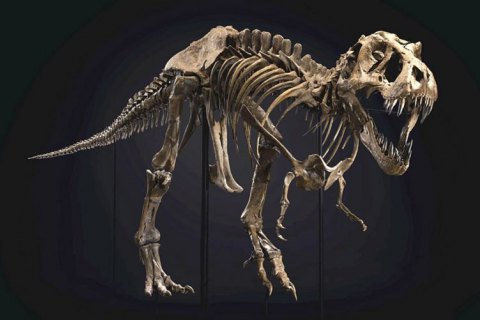 У США на аукціоні продали скелет тиранозавра за рекордні 31,8 млн доларів