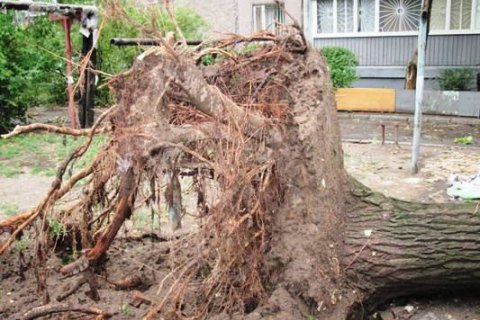 Ураган из Румынии оставил без света 477 населенных пунктов в Западной Украине