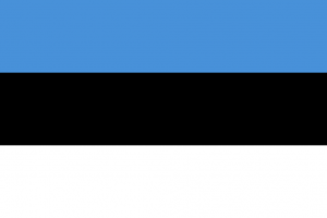 Угрожающих Эстонии "зеленых человечков" будут расстреливать, - главнокомандующий страны