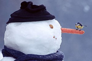 В Киеве открылся фестиваль снеговиков