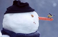 В Киеве открылся фестиваль снеговиков