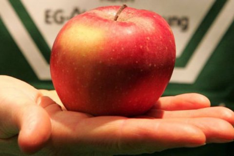 Американку оштрафовали на $500 за бесплатное яблоко в самолете