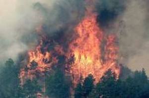 Природні пожежі знищили більш ніж 60 будинків на заході США