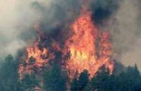 В Калифорнии из-за пожаров объявлено чрезвычайное положение