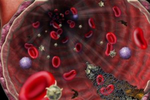 Ученые придумали микротурбину для кровеносной системы