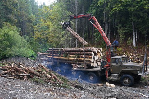 Яценюк потребовал остановить вырубку леса в Карпатах 