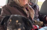 UAnimals просить допомогти тваринам в Харківській області