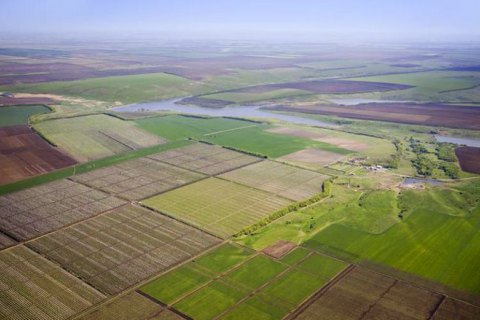 В Украине начали продавать сельскохозяйственную землю, зарегистрировано уже более 30 соглашений