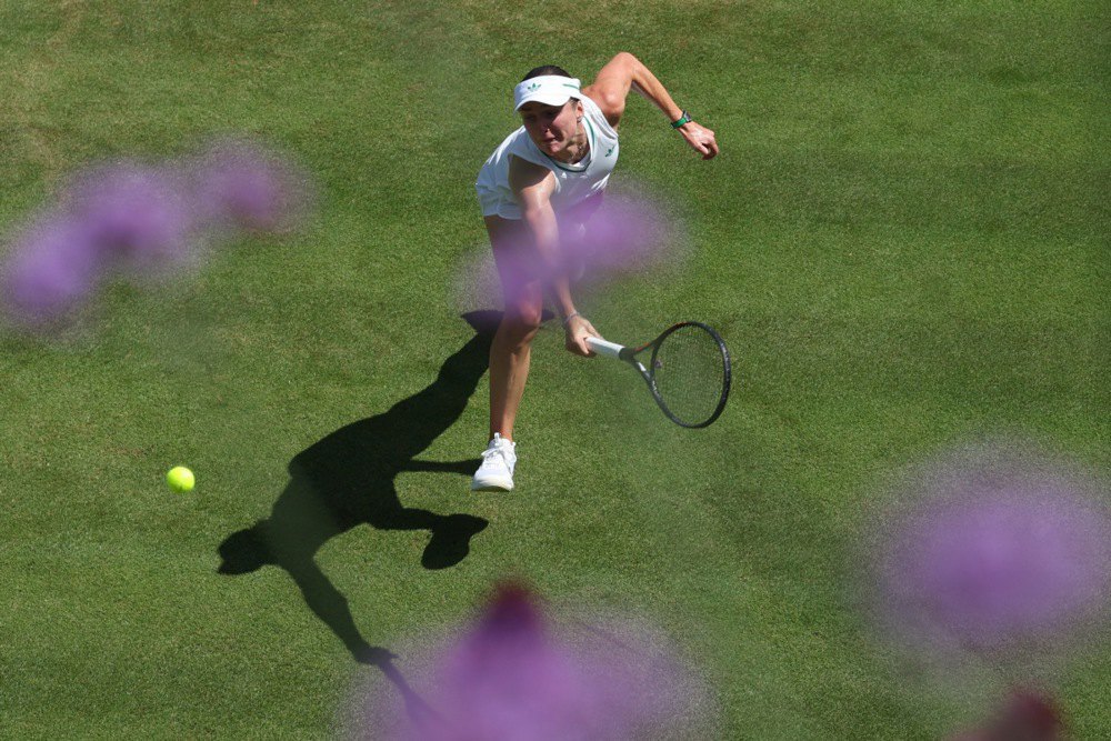 Світоліна на Вімблдоні