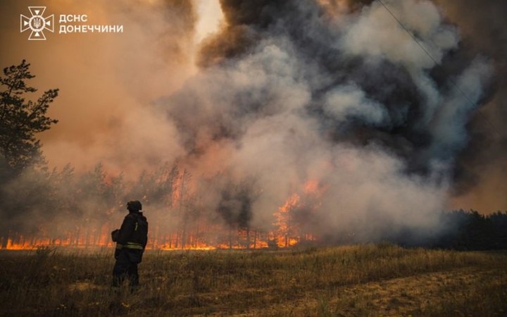 На Донеччині ліквідували масштабну лісову пожежу, спричинену російськими обстрілами