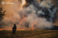 На Донеччині ліквідували масштабну лісову пожежу, спричинену російськими обстрілами