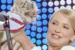 Тимошенко подарили белую бенгальскую тигрицу