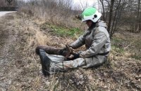 Бійці ДСНС врятували на Київщині поранене оленятко