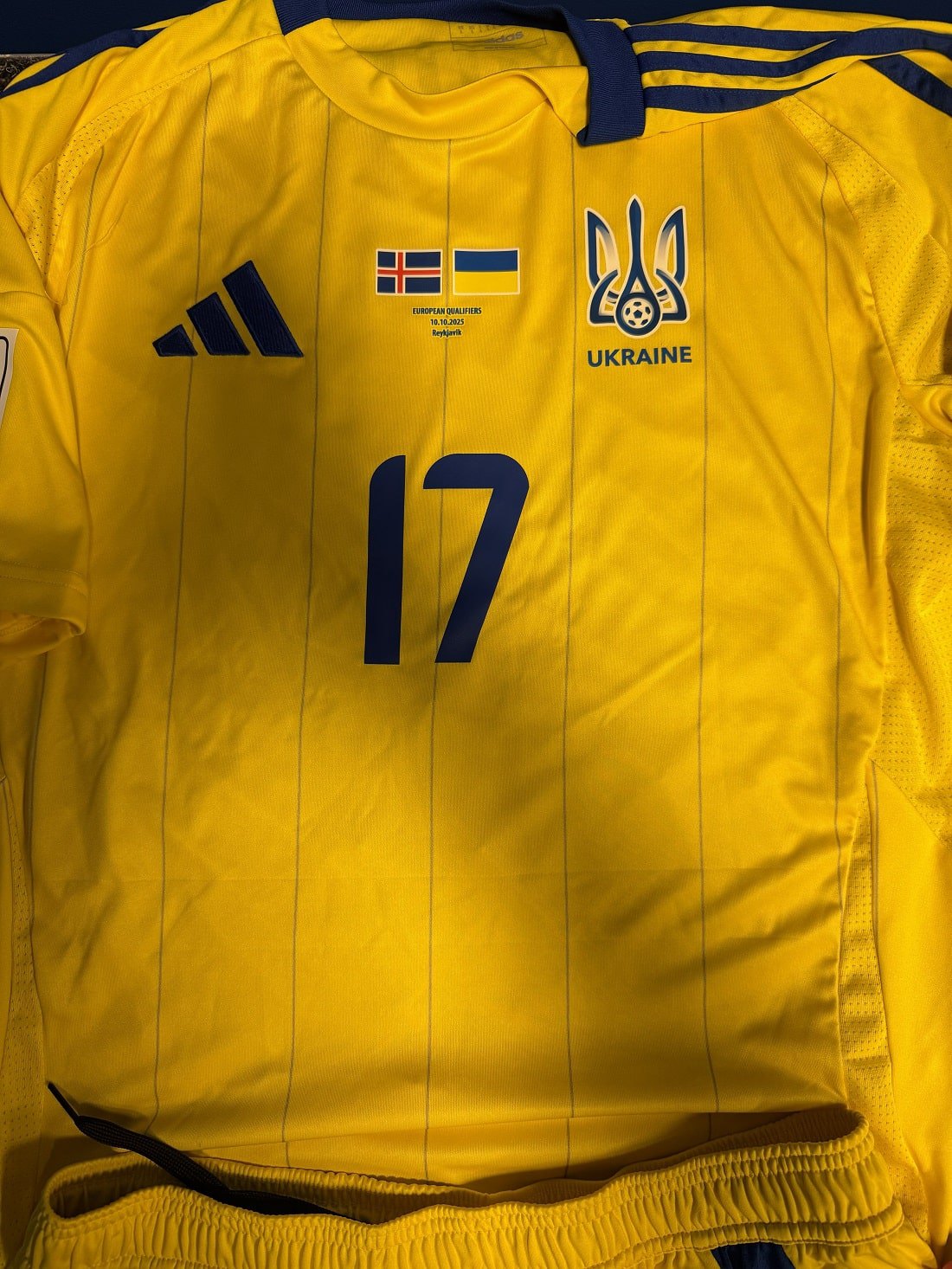 Комплект форми збірної України