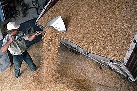 Украина с 1 апреля может ввести таможенные ограничения на экспорт зерна