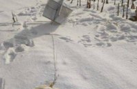 Українські військові показали збиту повітряну кулю росіян