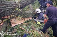 На Одещині дерево впало на намет із підлітками, один хлопець загинув