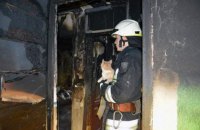 В Днепре из пожара в квартире спасли женщину с двумя детьми и кота