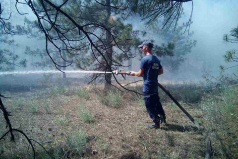 Вблизи Запорожской АЭС загорелась лесопарковая зона
