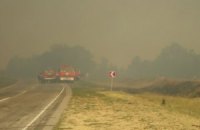 На Херсонщині погасили масштабну лісову пожежу
