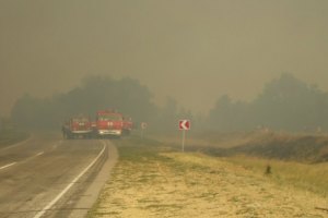С пожаром на Херсонщине борются почти 1800 человек