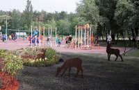 В Киеве открыли после ремонта первую очередь парка "Победа" 