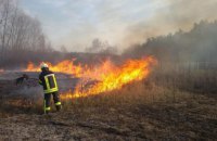 На Херсонщине пожары охватили 800 га лесов, связи со спасателями нет уже 2 дня, - Болоховец