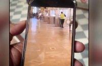 Пограбування Лувру: народні месники чи банальні злодії?  