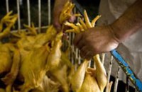 Бразилія оголосила про закінчення спалаху пташиного грипу і готується відновити експорт