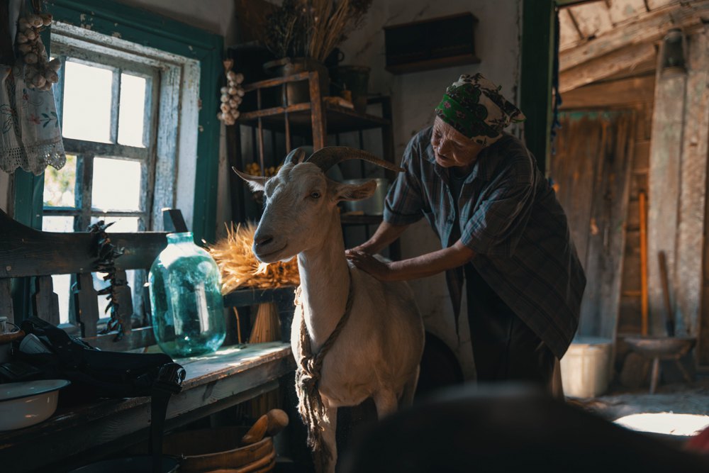 Кадр з&nbsp;новели «Торпеда» (Ольга Мартинишин)