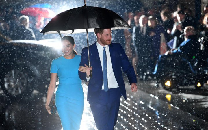 Принц Гаррі та Меган Маркл підписали петицію щодо заборони розробки "супер ШІ"