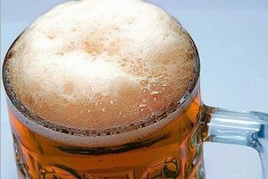 Шведський уболівальник приніс Азарову шість пляшок пива