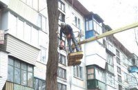 В Киеве в коммунальщика, который обрезал сухие ветки, выстрелили из окна соседнего дома 