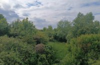 Посадовців ряду підприємств підозрюють у заволодінні 80 млн грн із грантів на садівництво