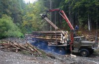 Порошенко підписав закон про мораторій на експорт лісу