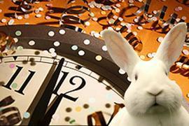 Как встретить год Кролика? - советы астролога