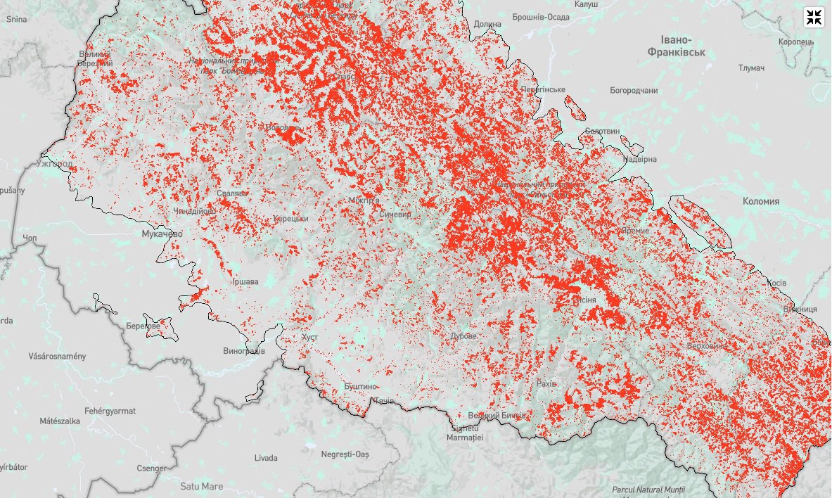 мапа втрат карпатських лісів