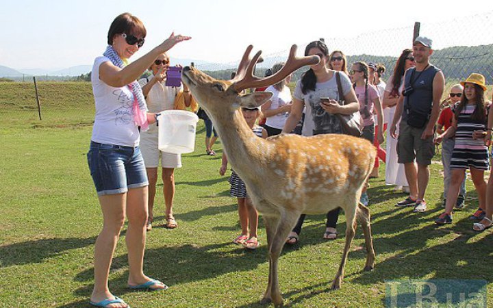 У зоопарку під Києвом від сказу помер олень, – кому з відвідувачів може знадобитися вакцинація проти сказу