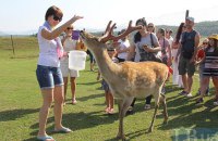 У зоопарку під Києвом від сказу помер олень, – кому з відвідувачів може знадобитися вакцинація проти сказу