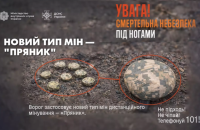 МВС попереджає про новий тип мін "Пряник", якими росіяни мінують Україну