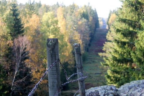 У Фінляндії задумалися над спорудженням паркану на кордоні з Росією