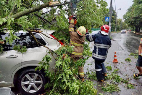 Под Киевом вследствие непогоды погиб человек