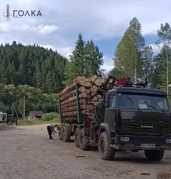 Виявлена фура без бирок у Плайському лісництві (Закарпаття)