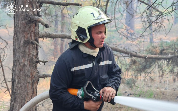 На Запоріжжі вдалося локалізувати лісову пожежу площею близько 50 га