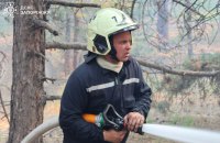 На Запоріжжі вдалося локалізувати лісову пожежу площею близько 50 га