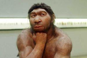 Крымские ученые пошатнули теорию эволюции Дарвина