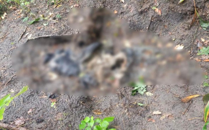 У Бучанському районі Київщини знайшли тіла ще двох жертв росіян