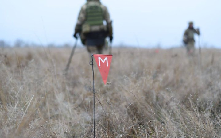 ЄС виділив Україні 2 млн євро на гуманітарне розмінування за допомогою кінологічних груп