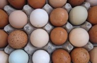 Україна отримала дозвіл на експорт яєць до Канади