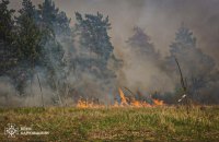 На Харківщині другу добу гасять масштабну лісову пожежу